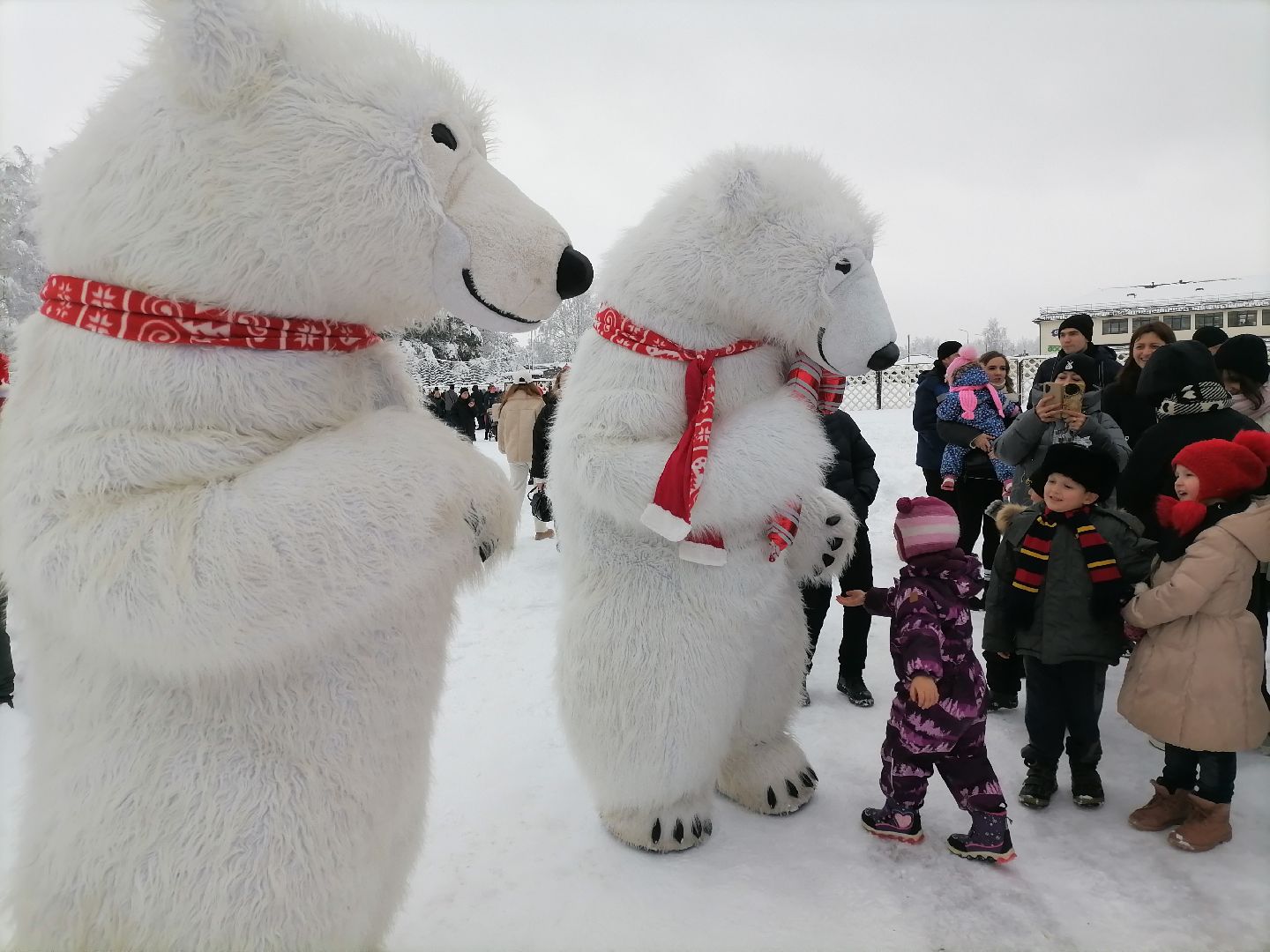 благотворительность, елка для детей, орехово зуево,