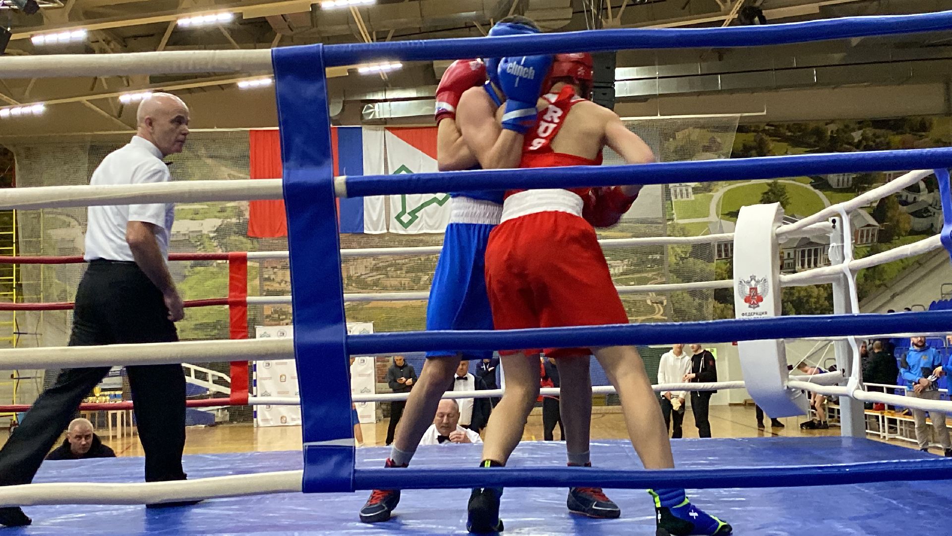 волоколамск, спорт, бокс, боксеры, соревнования, турнир, спортзал,