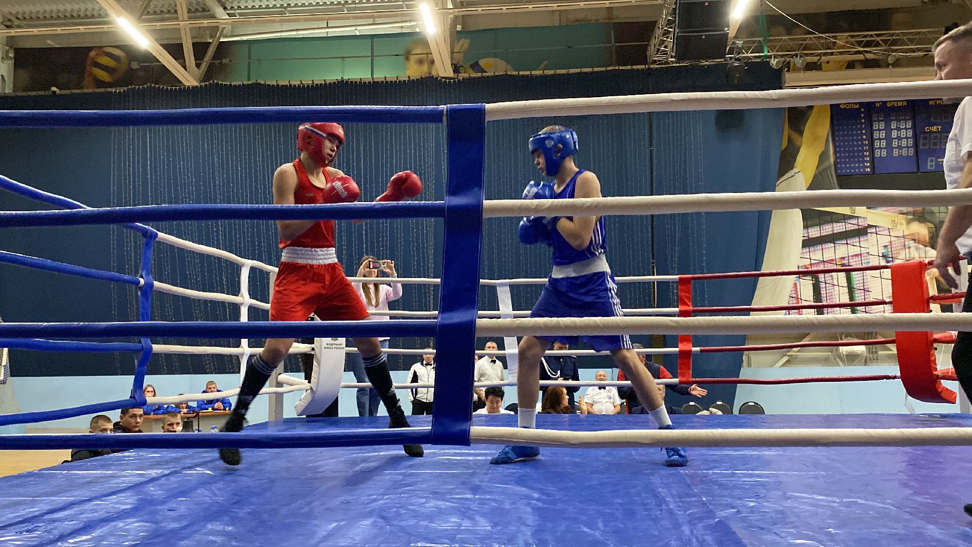 волоколамск, спорт, бокс, боксеры, соревнования, турнир, спортзал,