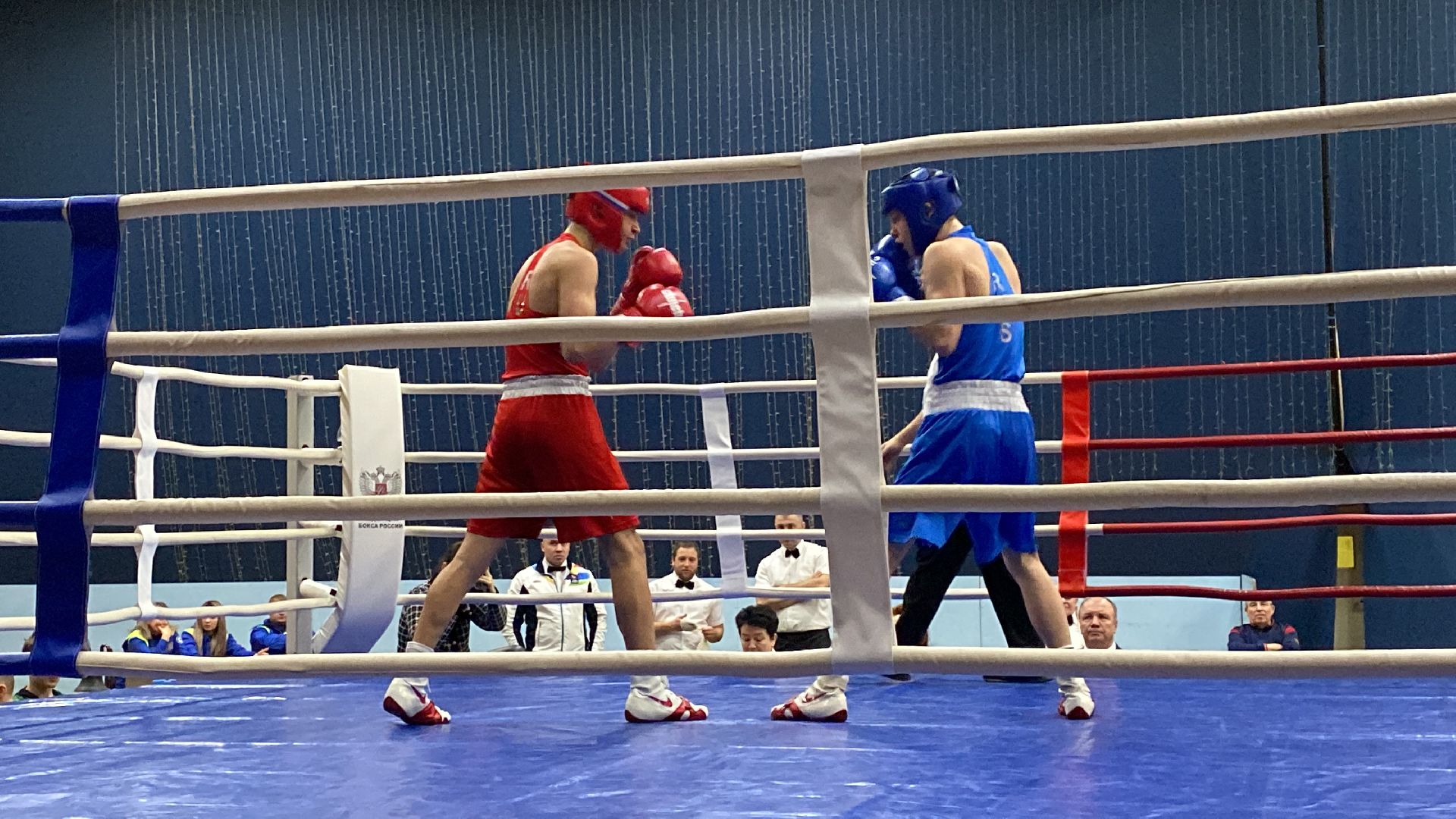 волоколамск, спорт, бокс, боксеры, соревнования, турнир, спортзал,