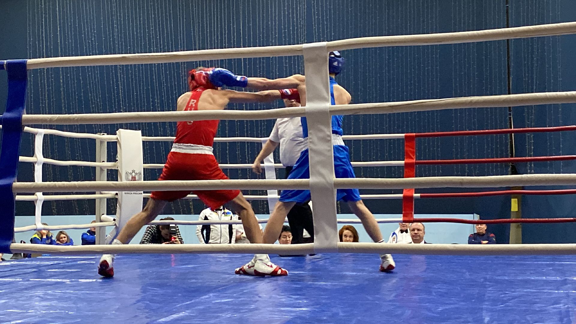 волоколамск, спорт, бокс, боксеры, соревнования, турнир, спортзал,