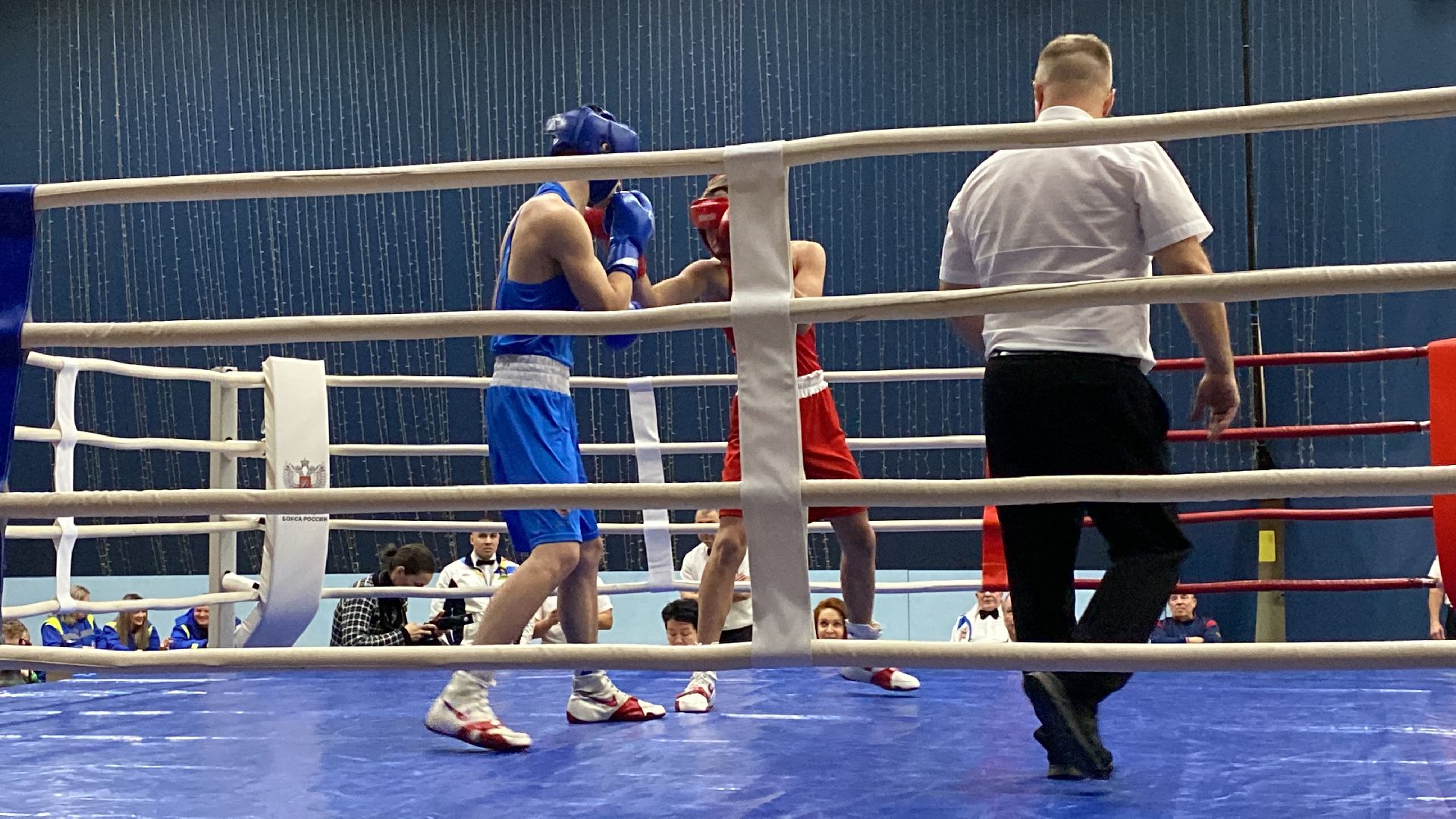 волоколамск, спорт, бокс, боксеры, соревнования, турнир, спортзал,