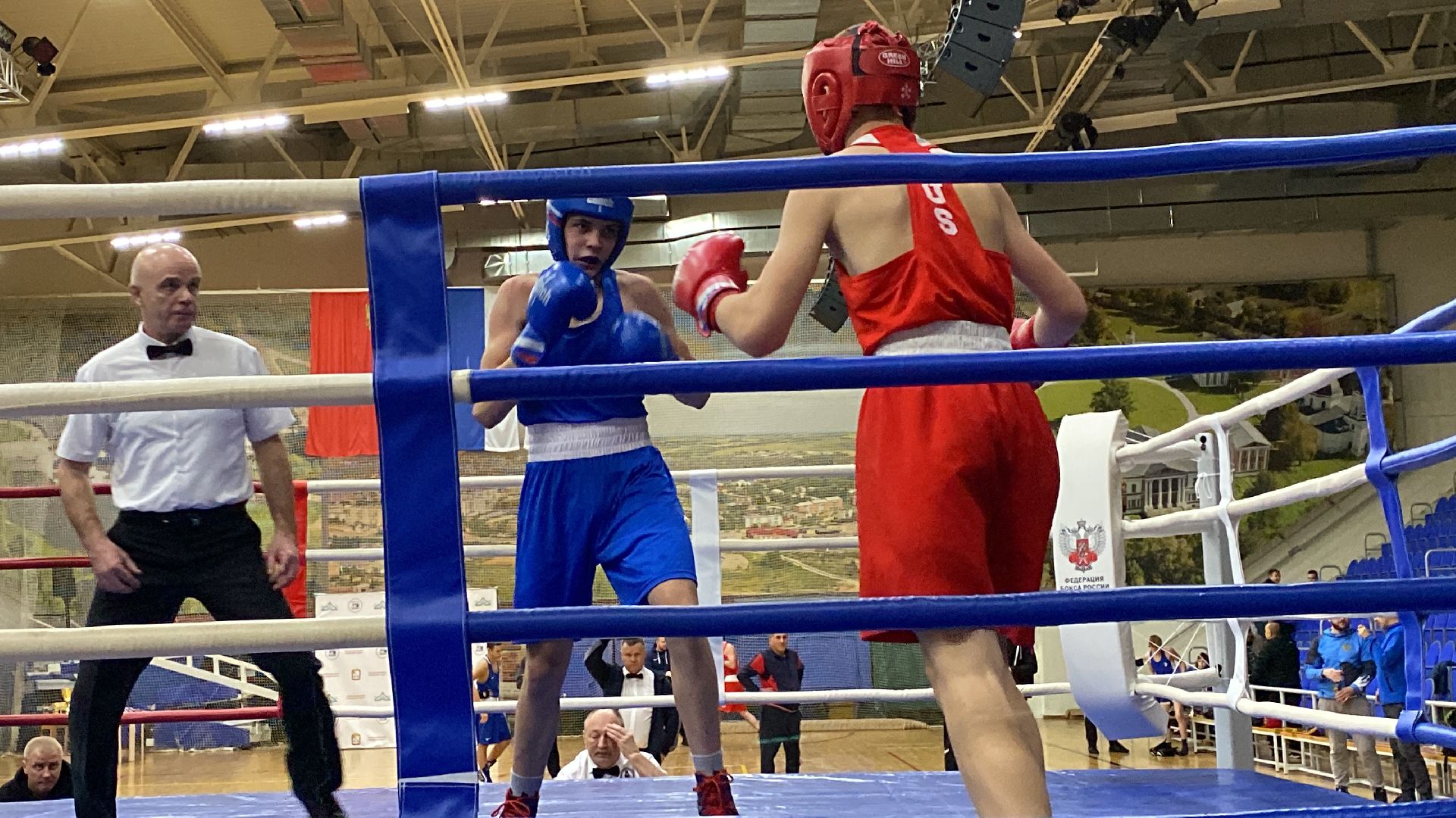 волоколамск, спорт, бокс, боксеры, соревнования, турнир, спортзал,