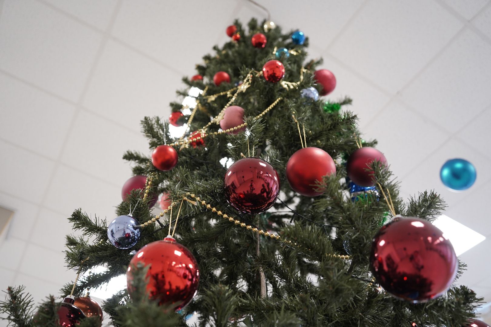 елка главы, праздник, Рошаль, Большая Шатура,