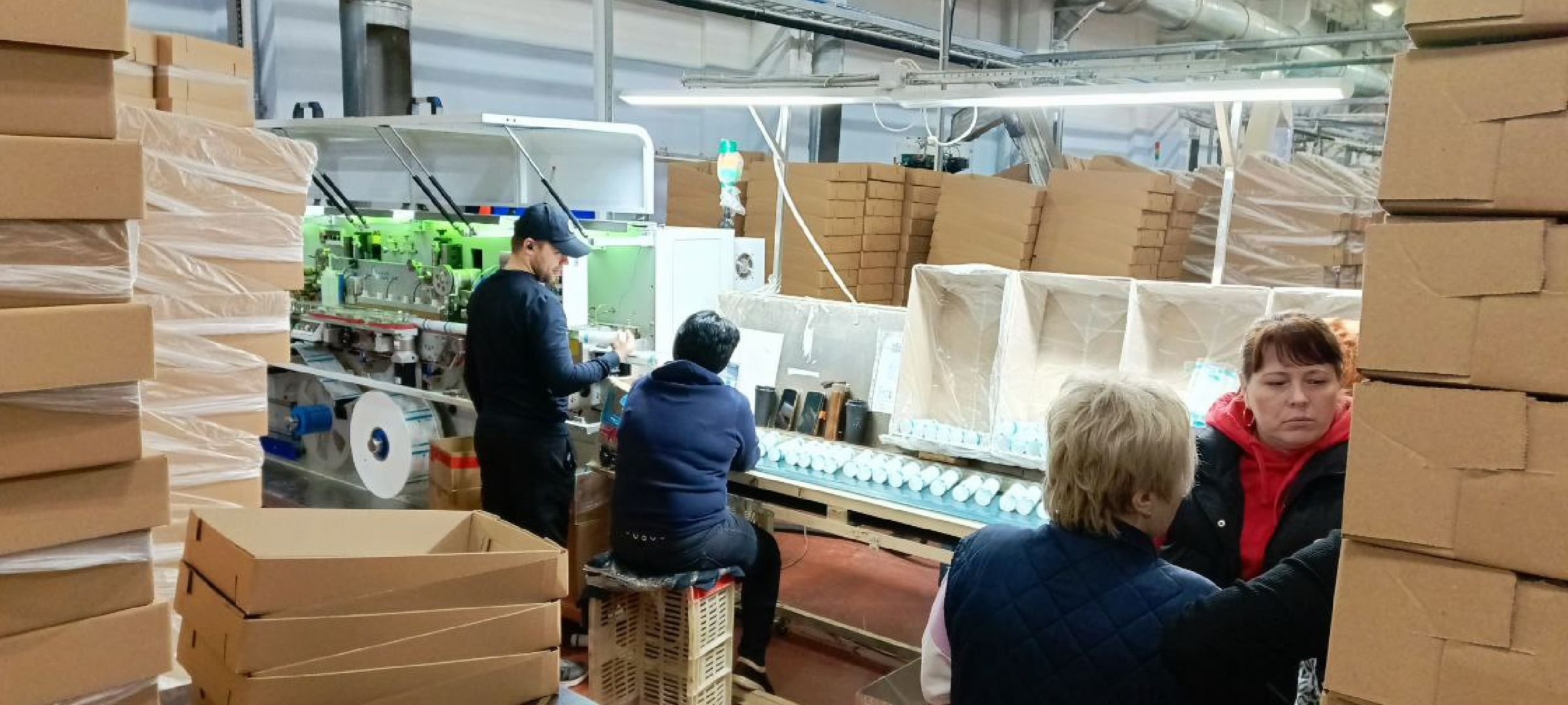 Дмитров, Завод Вилсен, Мининвест,