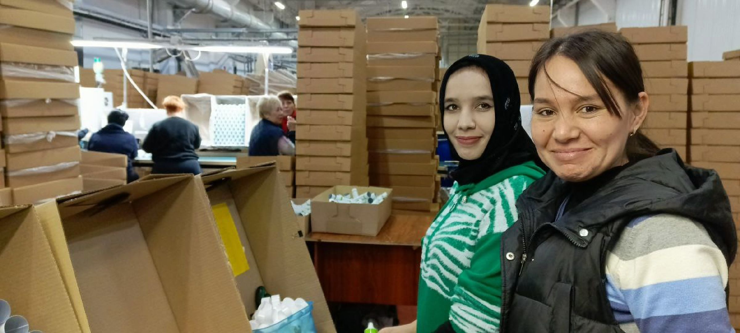 Дмитров, Завод Вилсен, Мининвест,