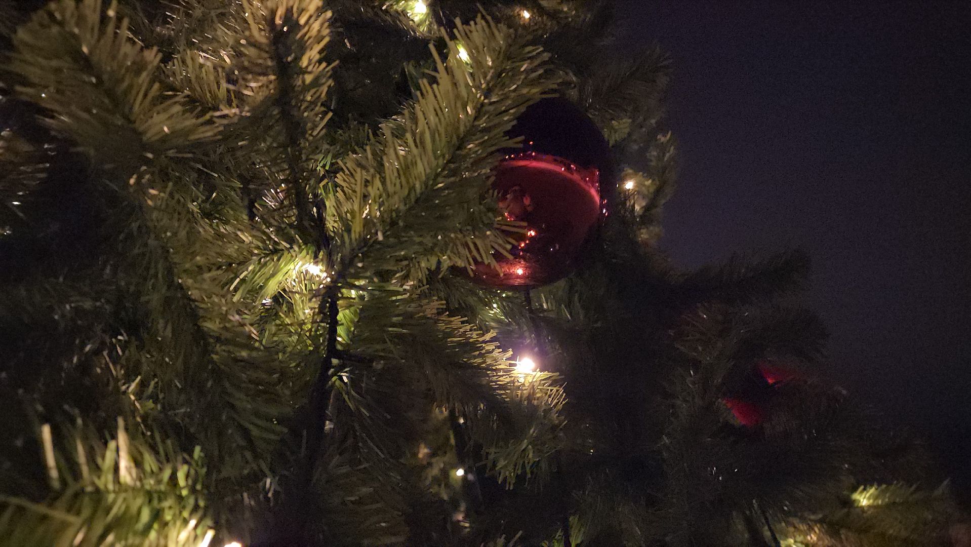 ступино, новый год, ёлка,