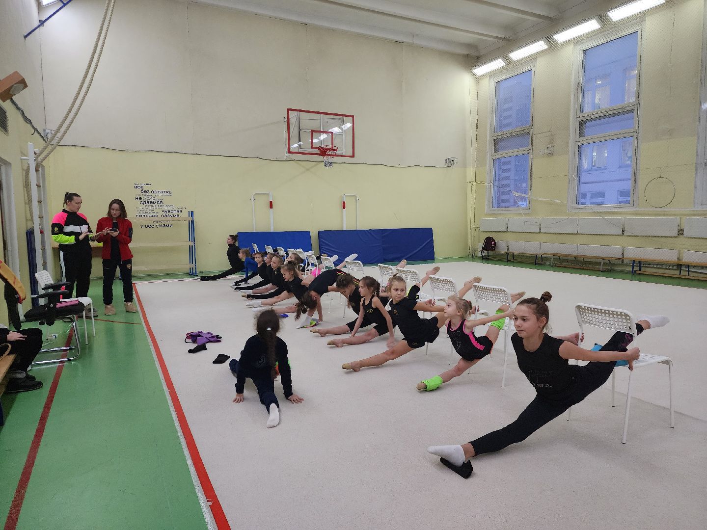 пушкино, спорт, художественная гимнастика, награды, приемные дети, спортсменка,