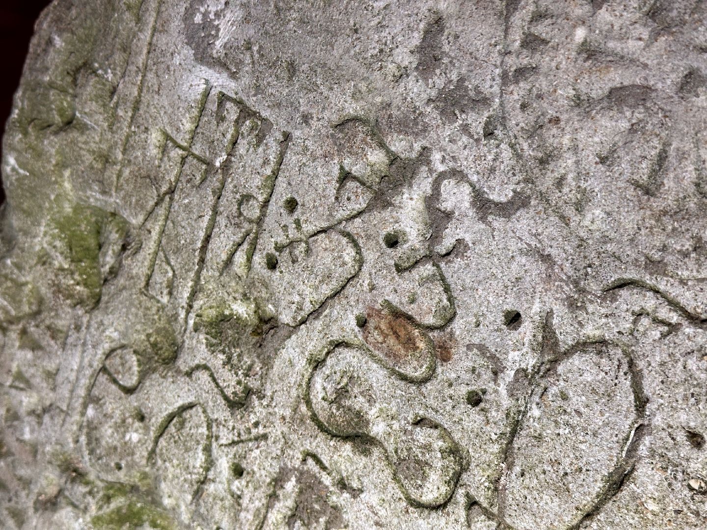 Клин, общество, музеи, история, краеведы,