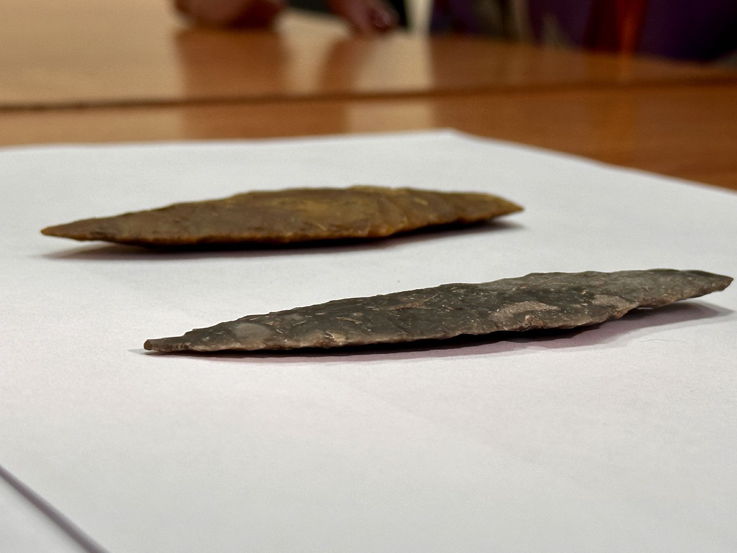 Клин, общество, музеи, история, краеведы,