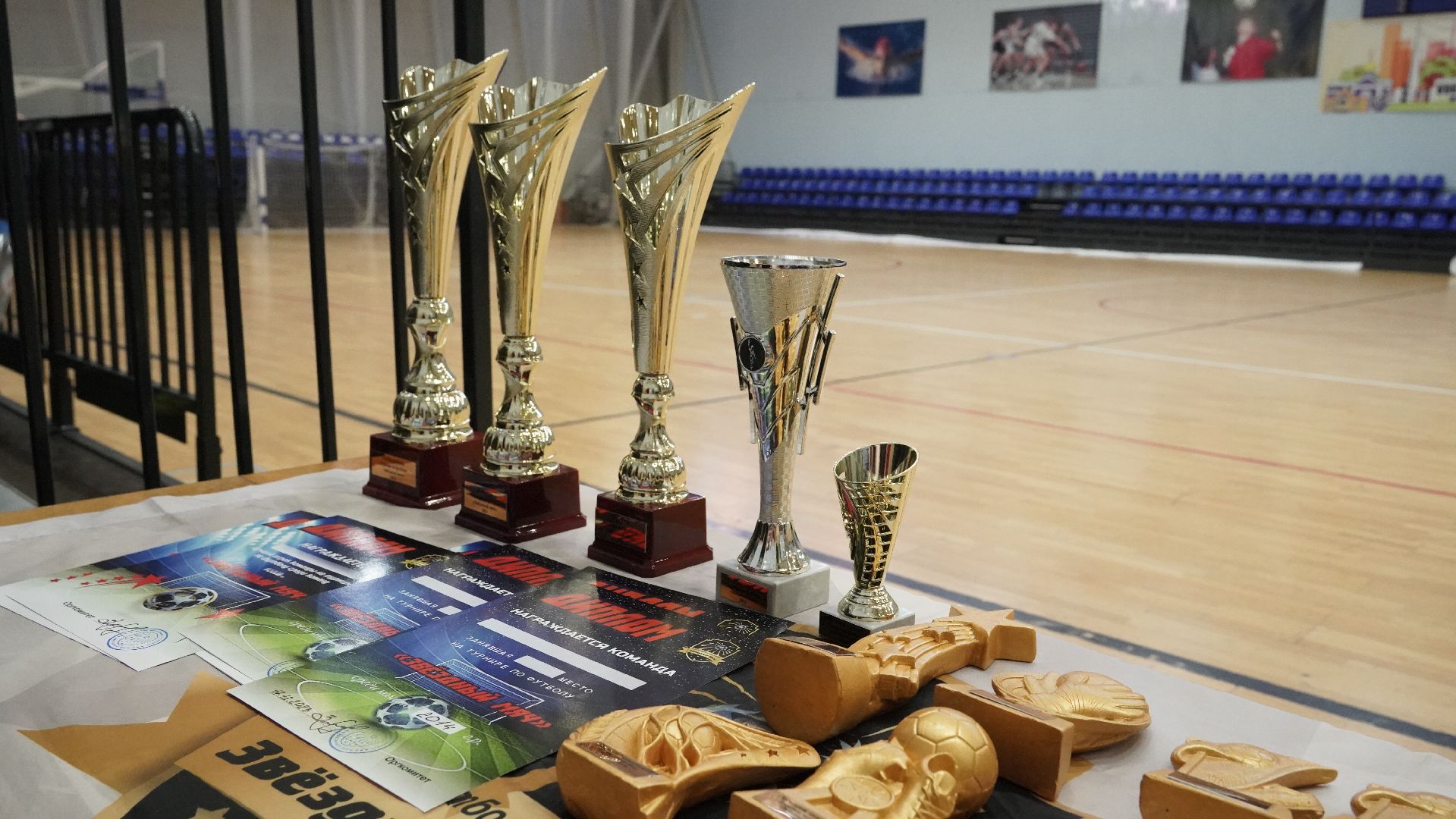 футбол, детский футбол, Шатура, Рошаль, Орехово-Зуево, Рязань,