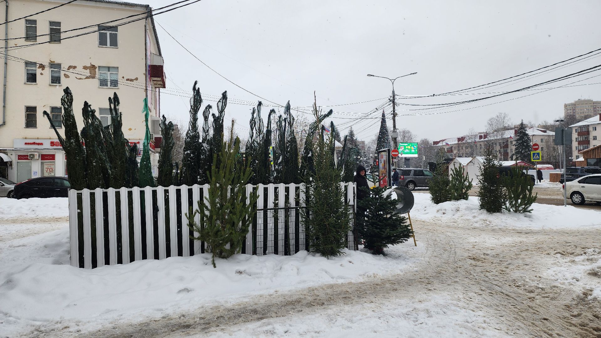 Солнечногорск, Новый год, Зима в Подмосковье, елочный базар, общество,