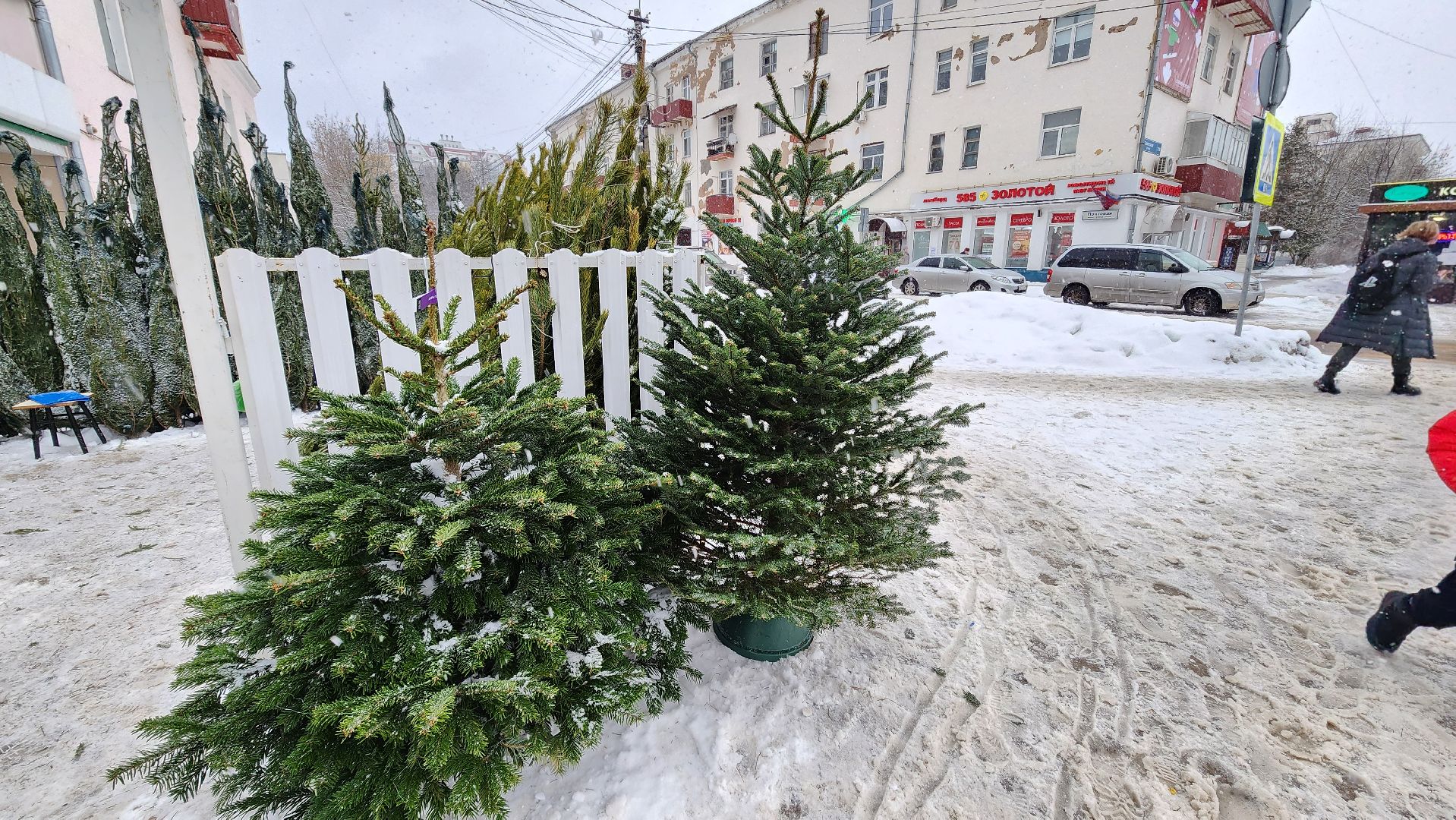 Солнечногорск, Новый год, Зима в Подмосковье, елочный базар, общество,
