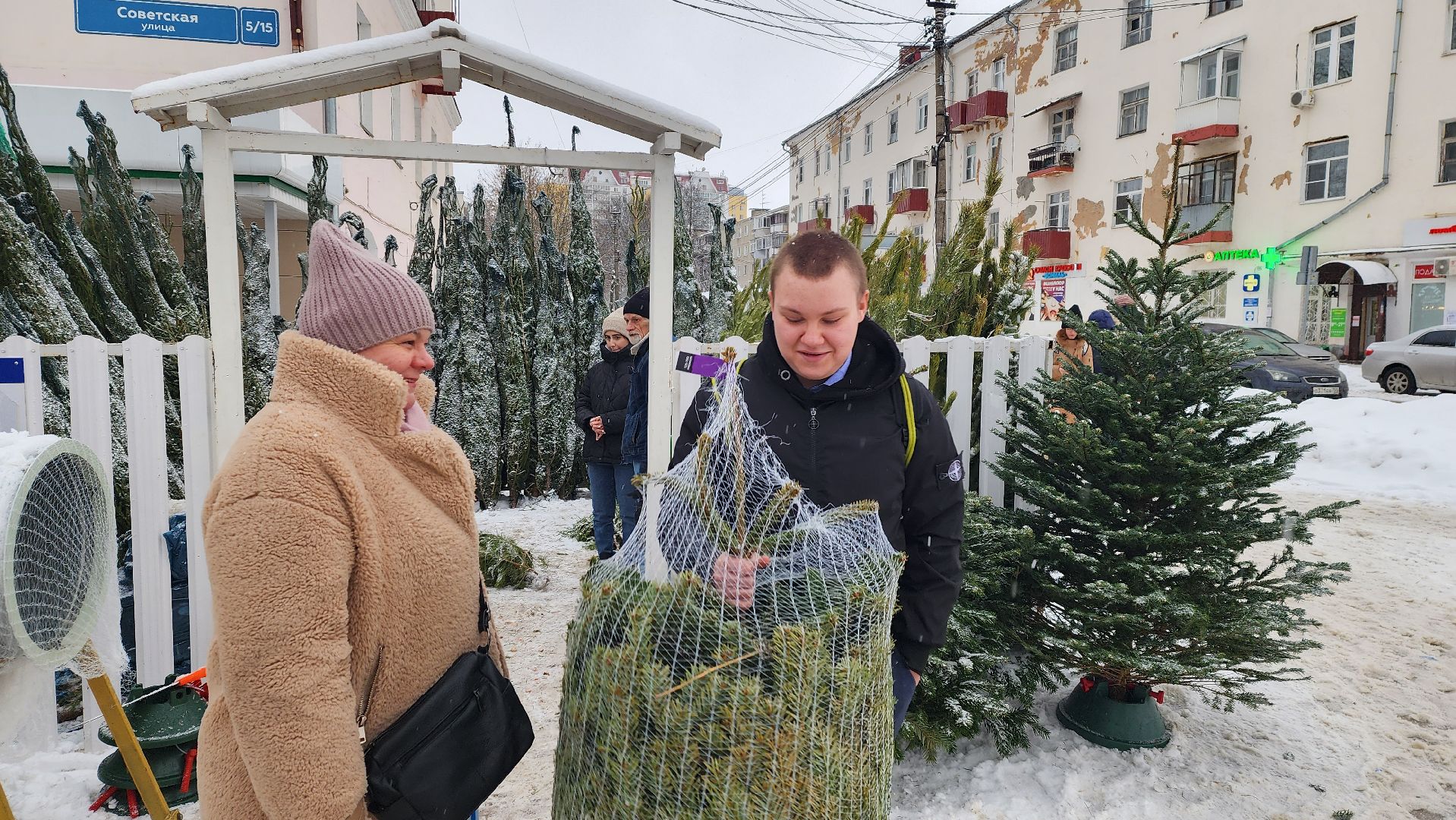 Солнечногорск, Новый год, Зима в Подмосковье, елочный базар, общество,