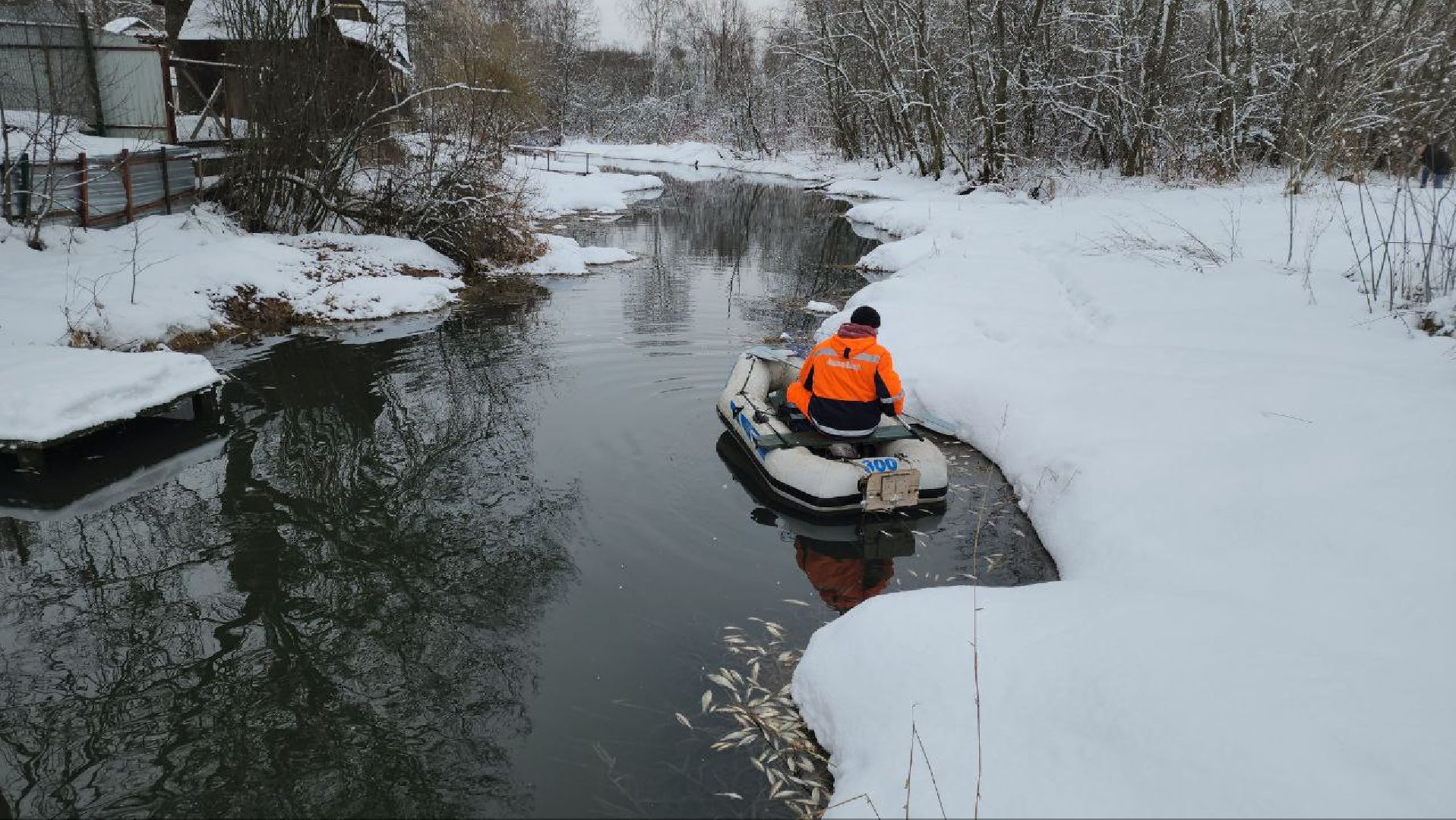 Мытищи, Замор рыбы, река Уча, марфино, Лысково, Минэкологии, Артур Суворов,