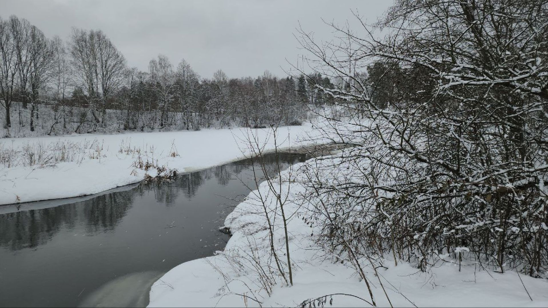 Мытищи, Замор рыбы, река Уча, марфино, Лысково, Минэкологии, Артур Суворов,