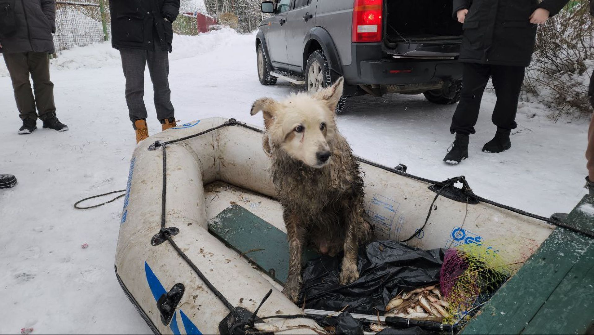 мытищи, экология, спасение животных, Алабай Хэлп, Река уча, марфино, лысково,
