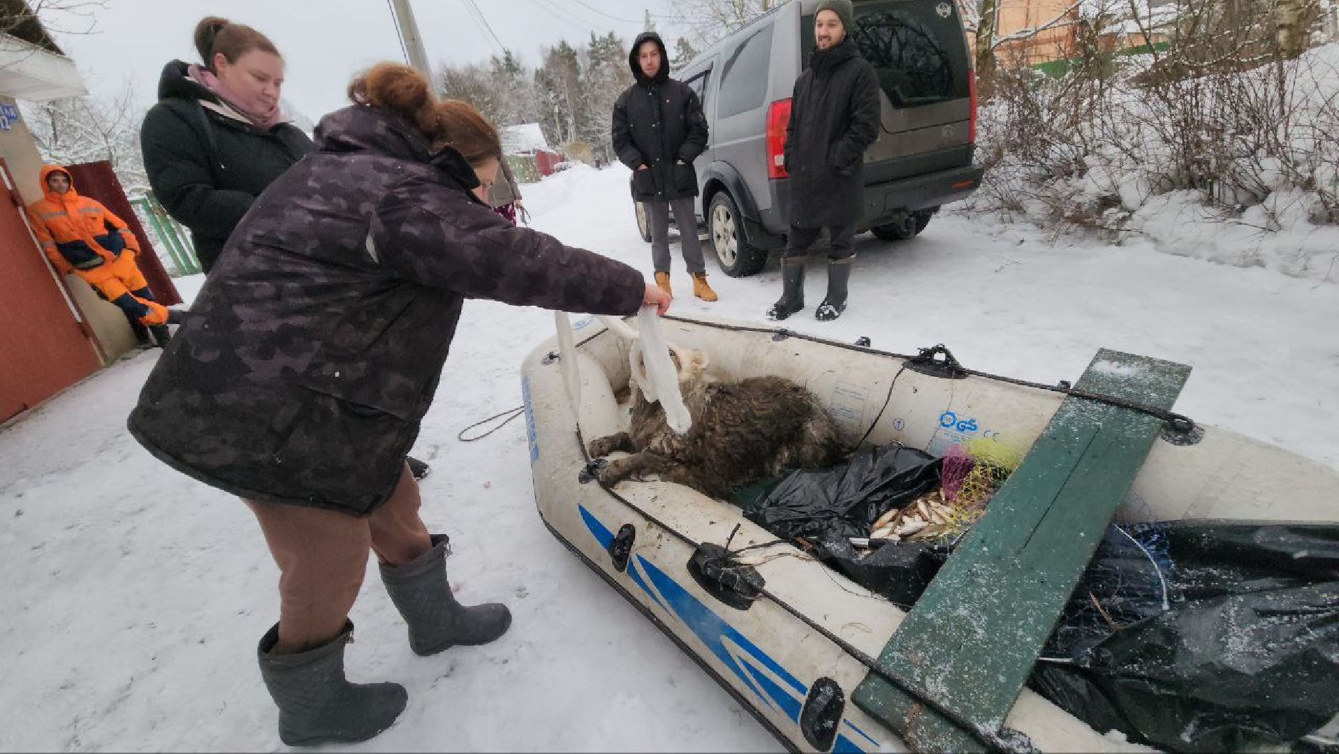 мытищи, экология, спасение животных, Алабай Хэлп, Река уча, марфино, лысково,