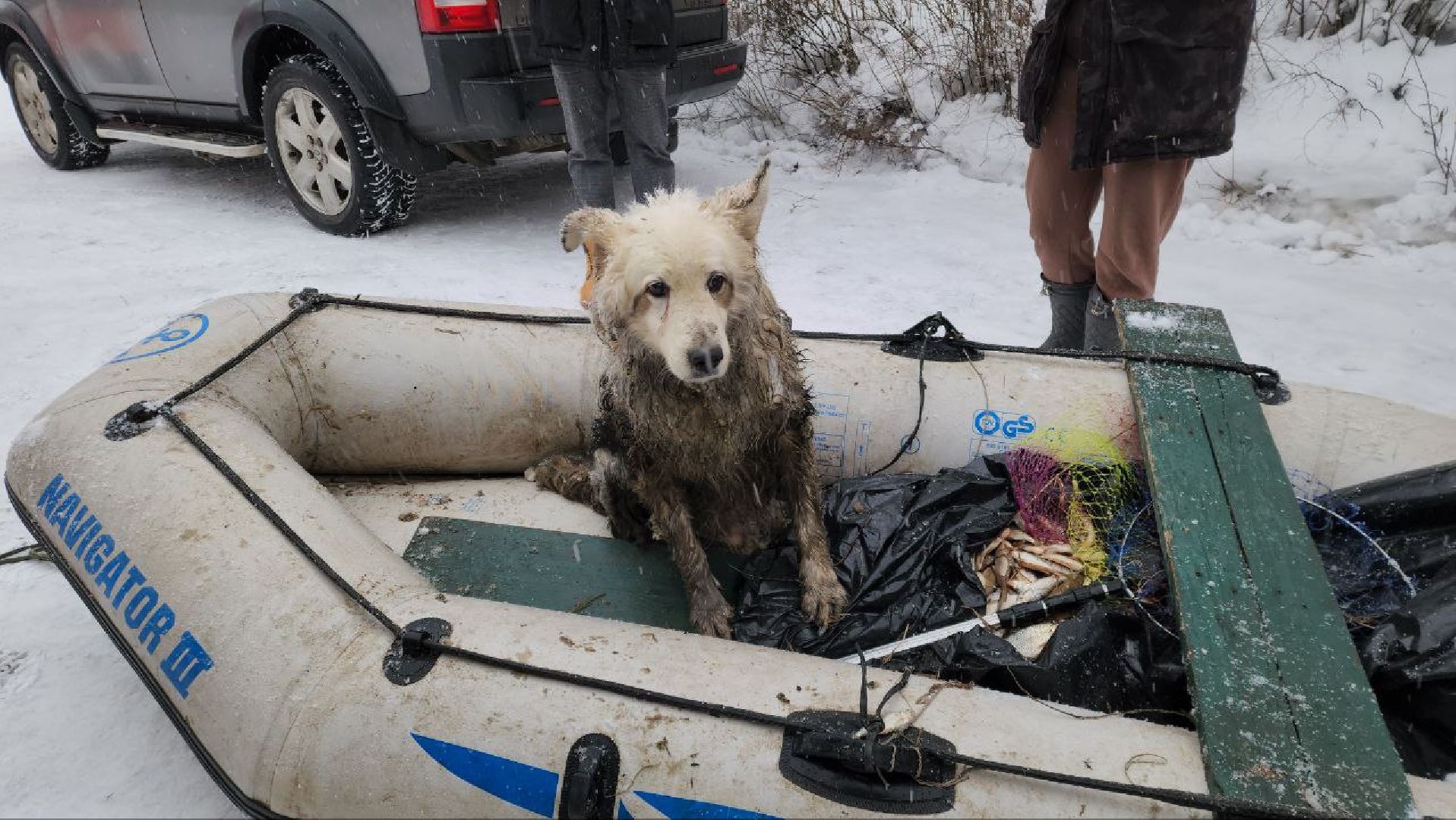 мытищи, экология, спасение животных, Алабай Хэлп, Река уча, марфино, лысково,