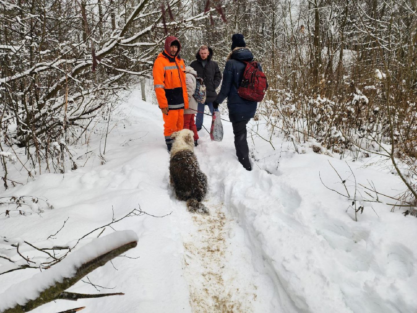 мытищи, экология, спасение животных, Алабай Хэлп, Река уча, марфино, лысково,