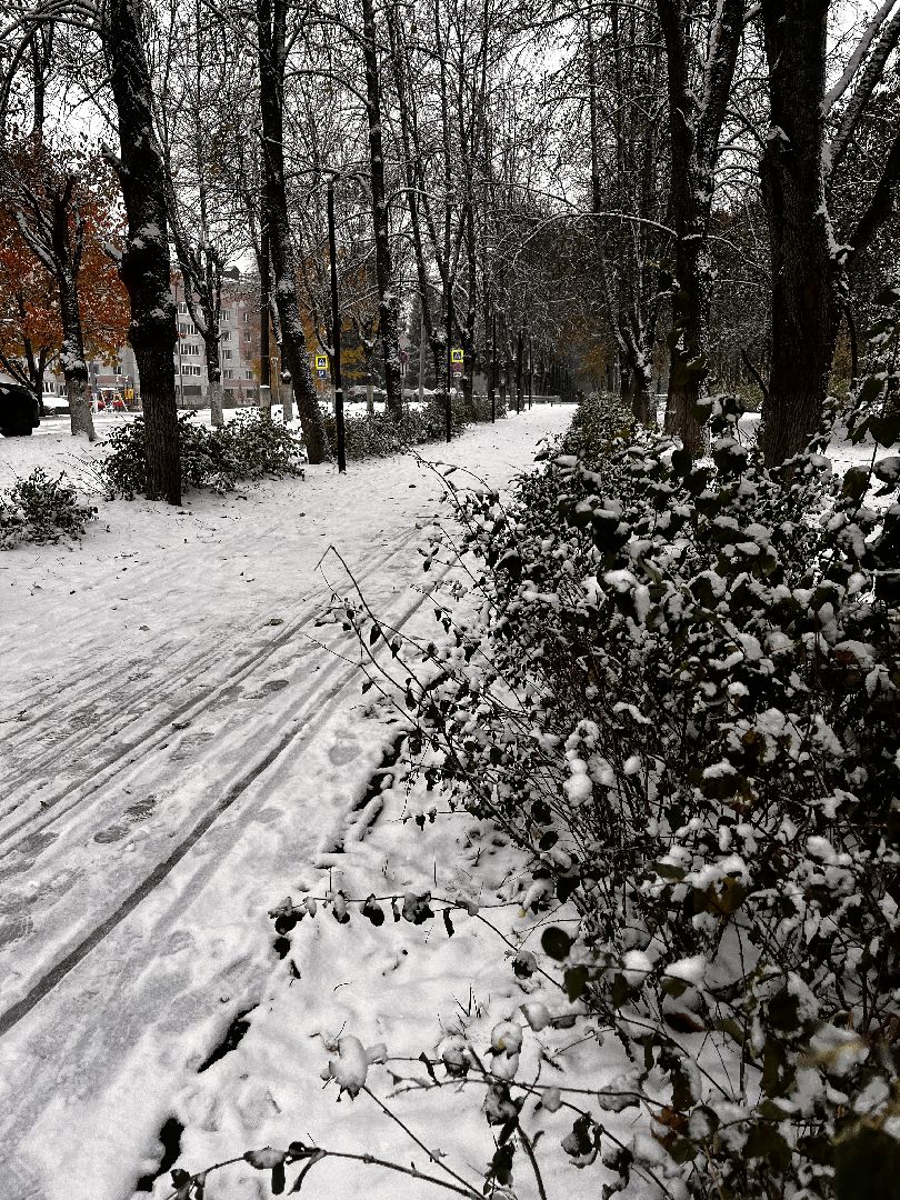 видео с коптера, истра, военный городок, благоустройство,