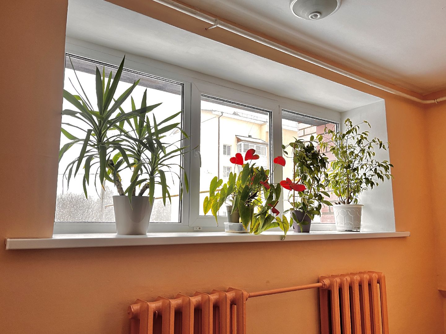 видео с коптера, истра, военный городок, благоустройство,