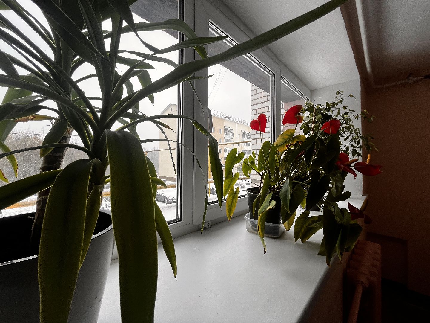 видео с коптера, истра, военный городок, благоустройство,