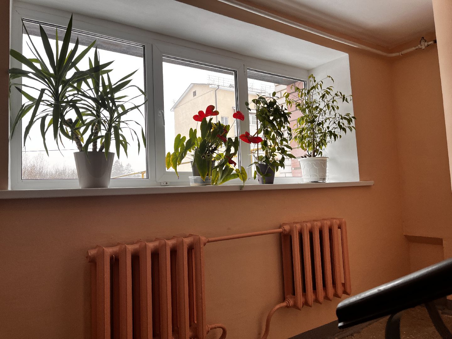 видео с коптера, истра, военный городок, благоустройство,