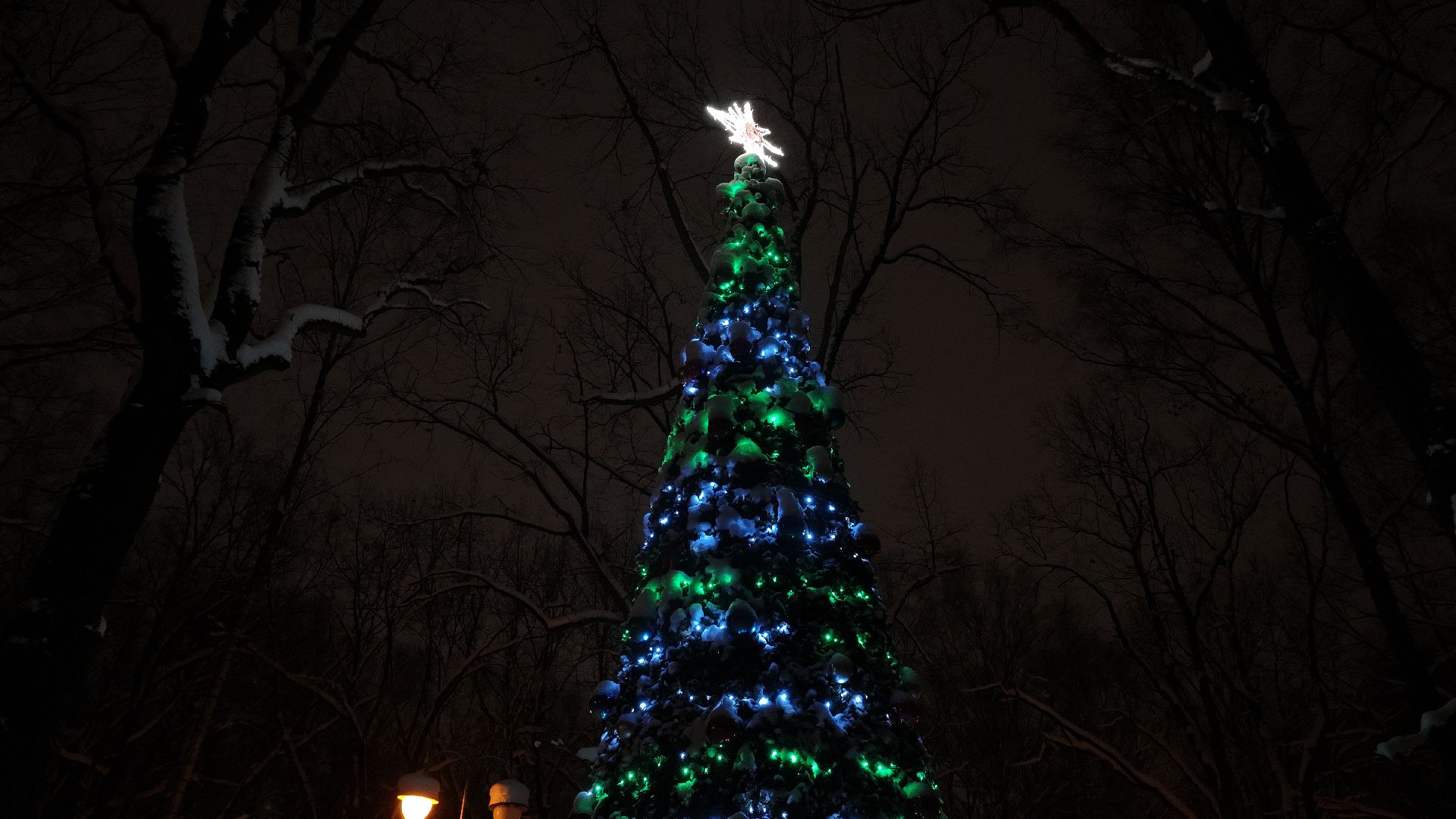 видео с коптера, химки, зима в подмосковье, благоустройство,