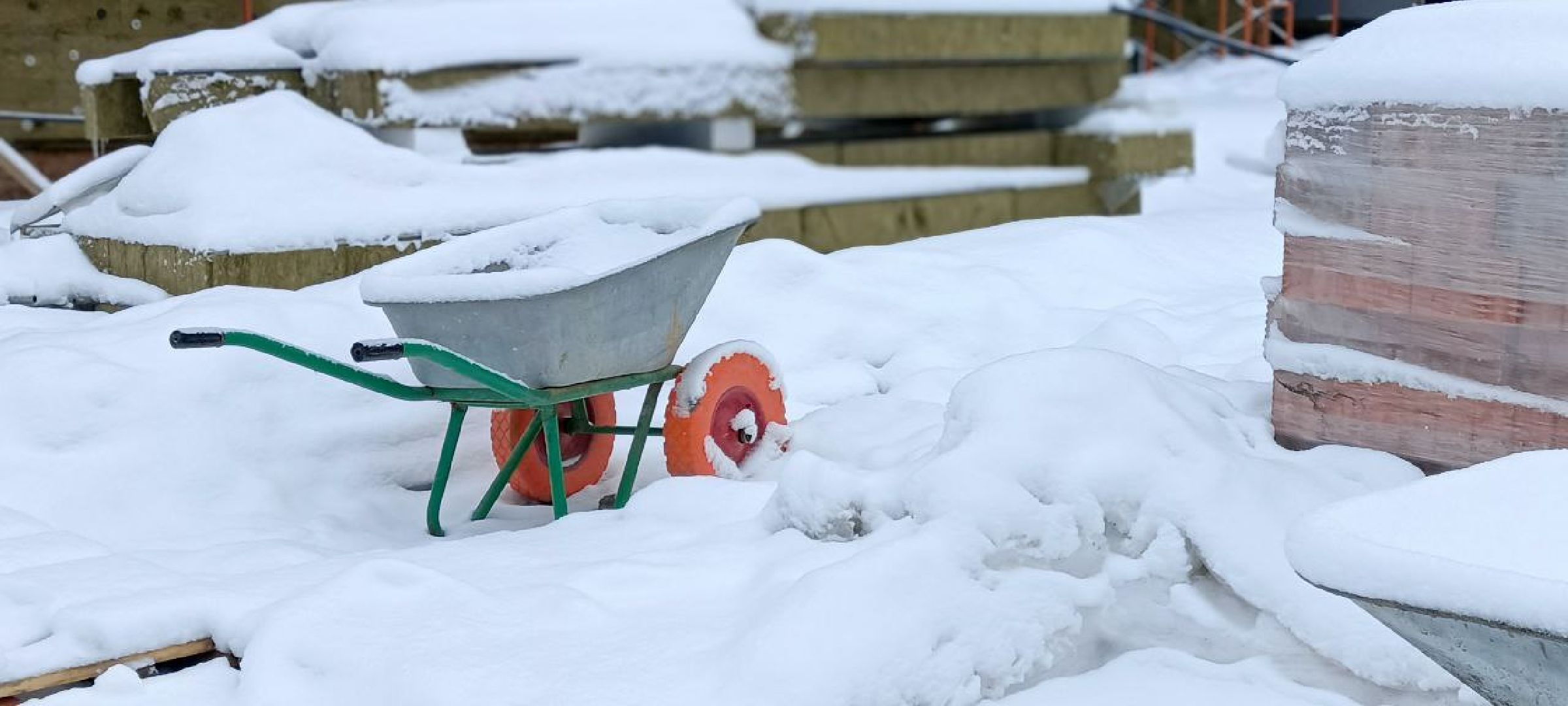 Дмитров, Дмитровский техникум, Минобр,