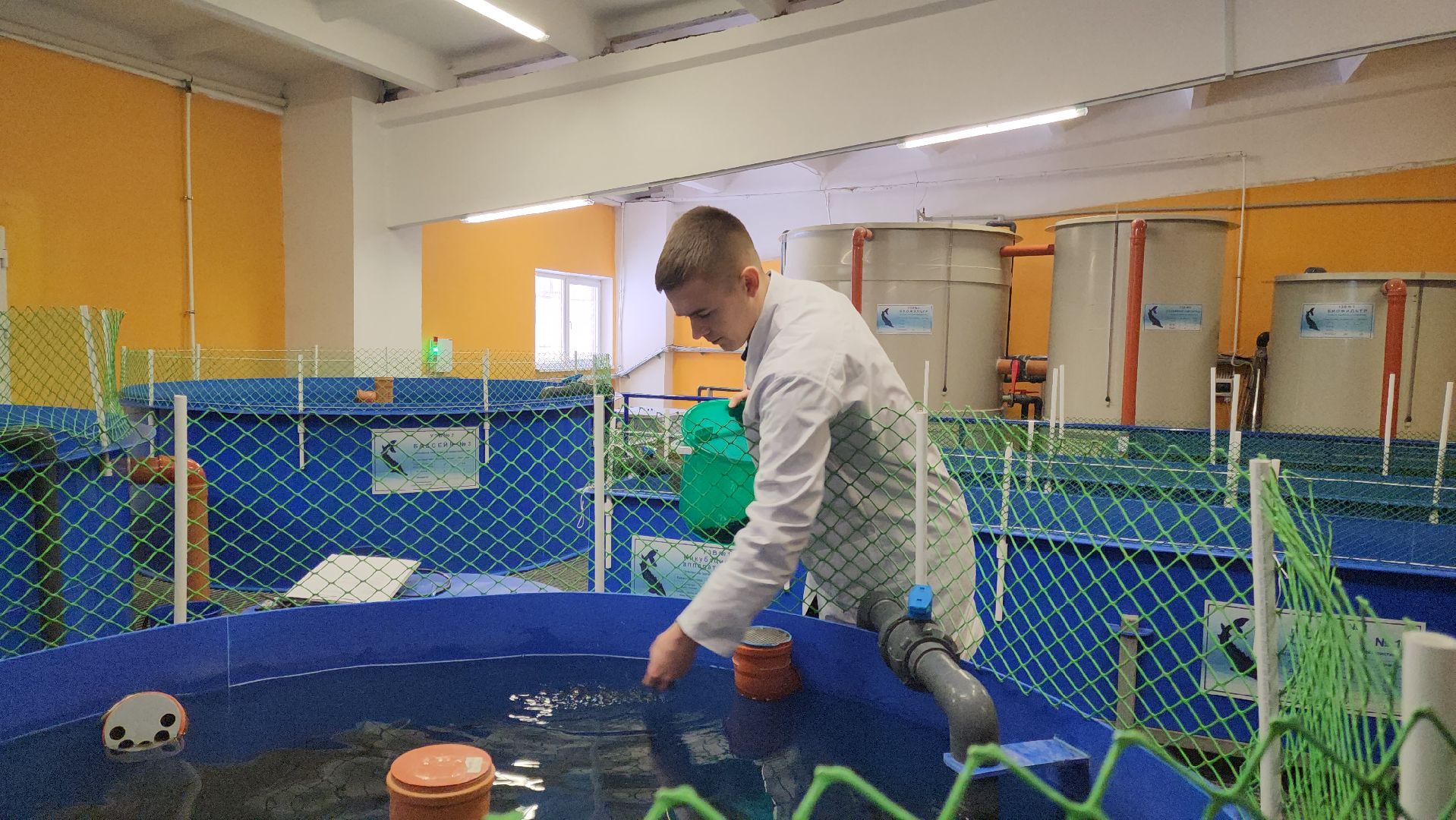 Наука, Подольск, Рыбы, Осетр, Виж им Эрнста,