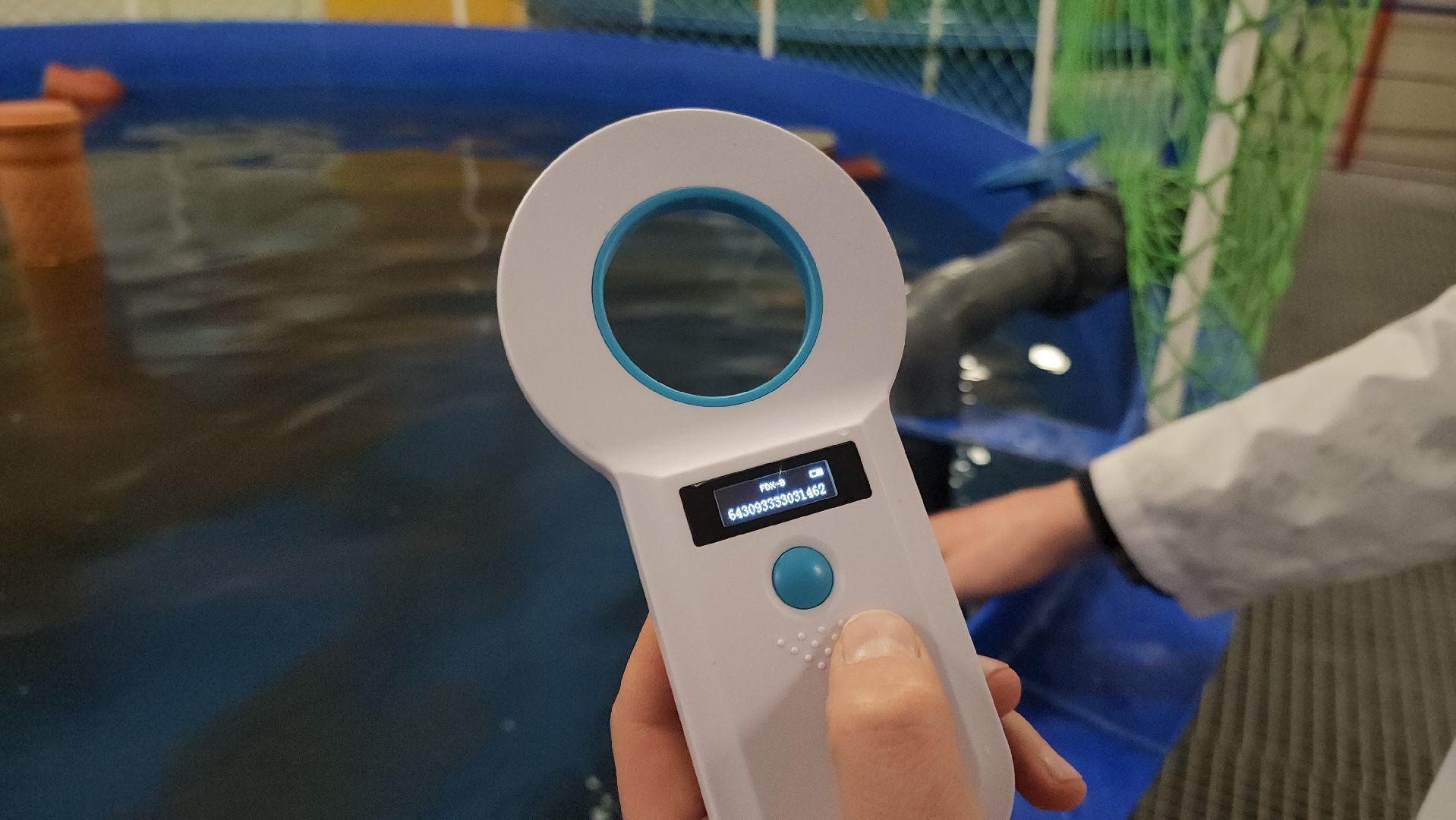 Наука, Подольск, Рыбы, Осетр, Виж им Эрнста,