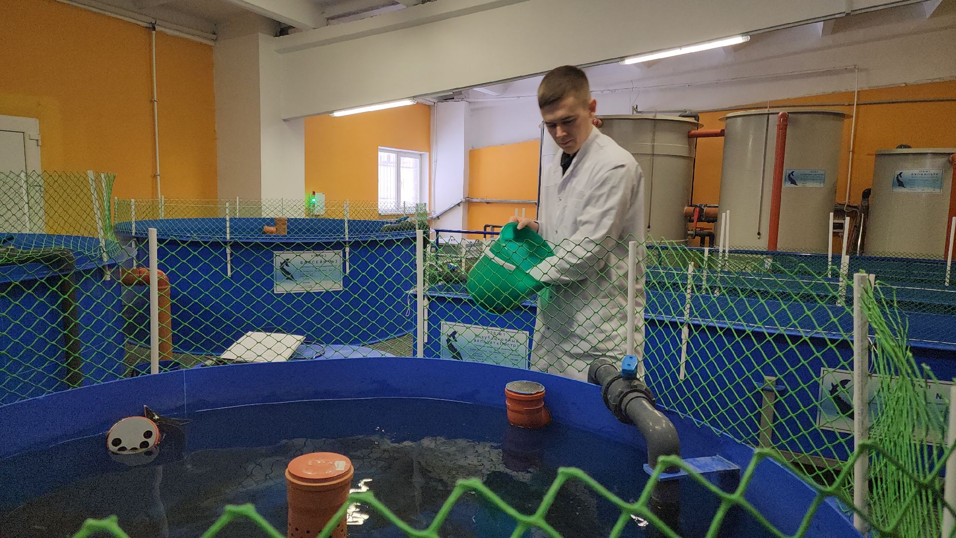 Наука, Подольск, Рыбы, Осетр, Виж им Эрнста,