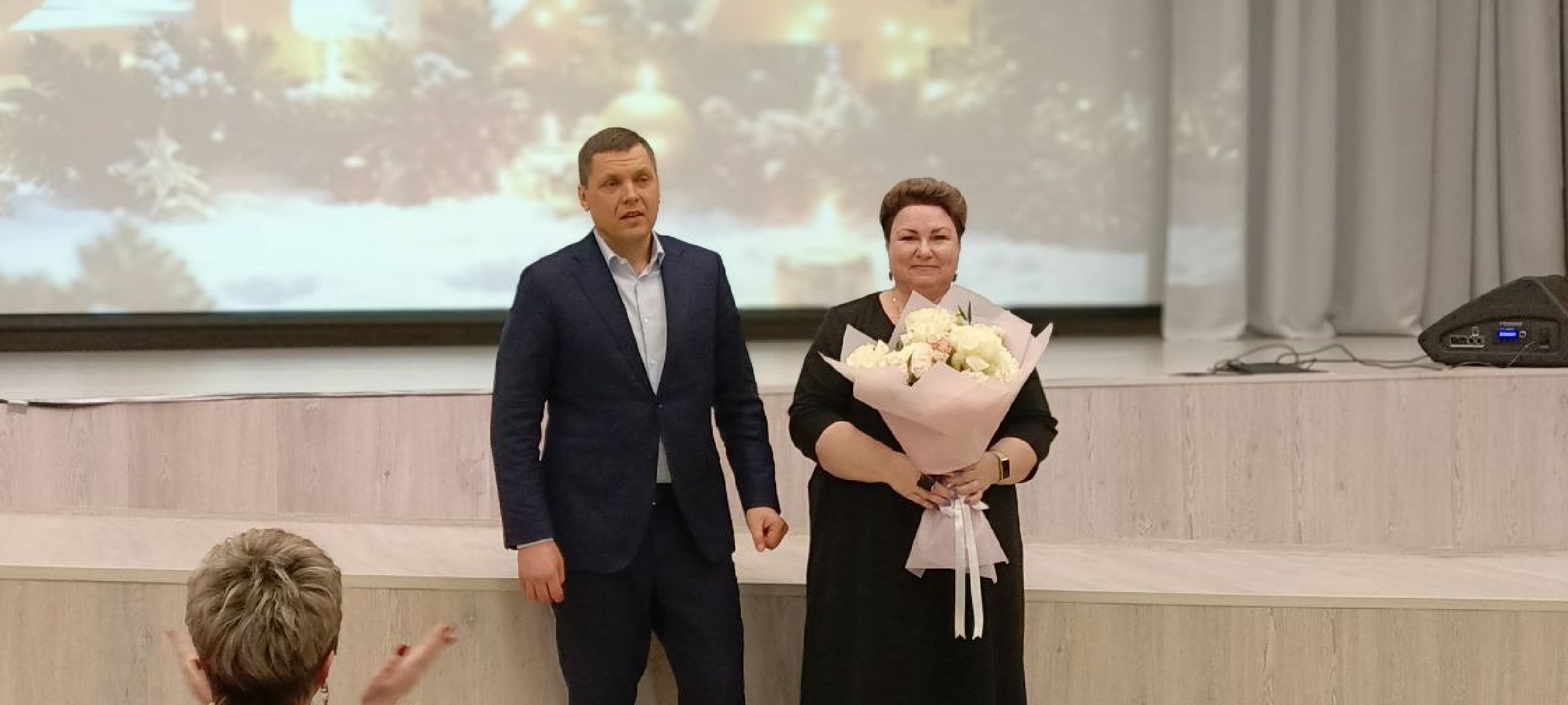 Дмитров, Школа в Озерецком, Гимназия Дмитров, Гимназия Логос, Минобразования,