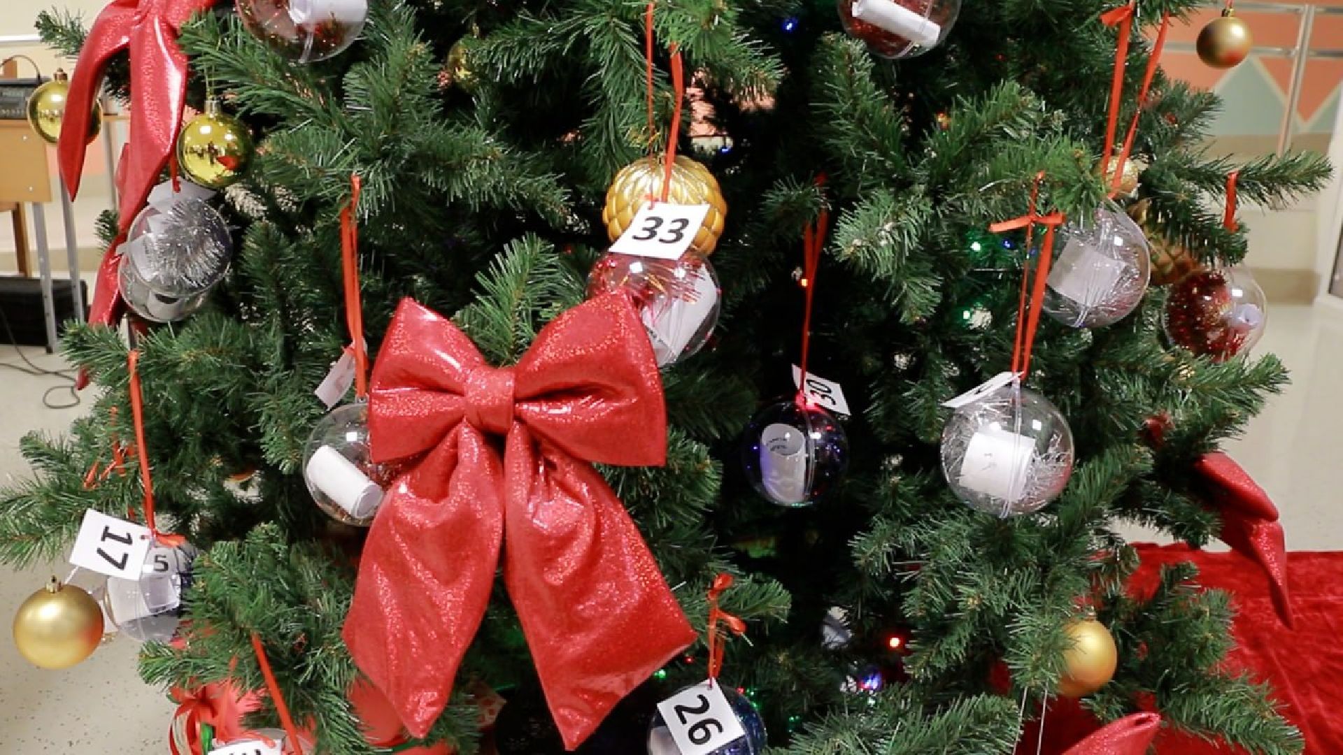 Солнечногорск, елка желаний, сергей куприк, Подарки, Дети, Акция,