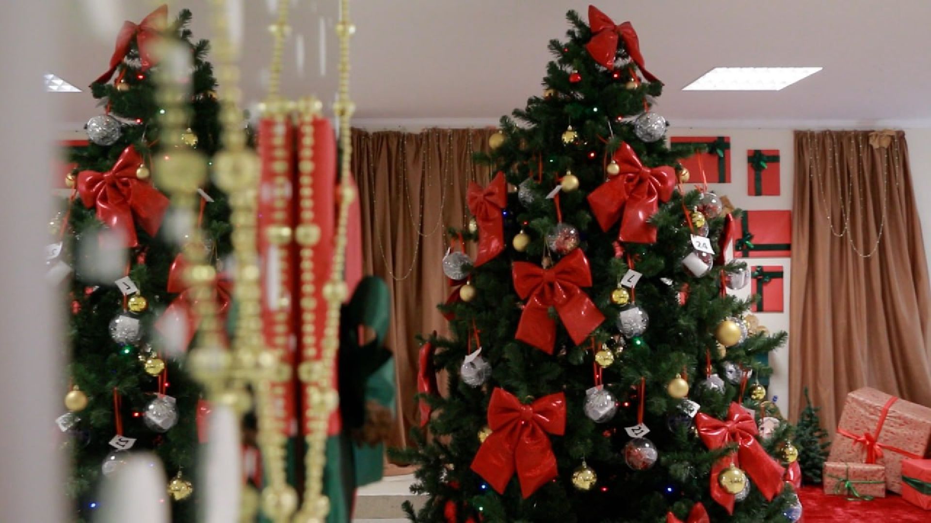 Солнечногорск, елка желаний, сергей куприк, Подарки, Дети, Акция,