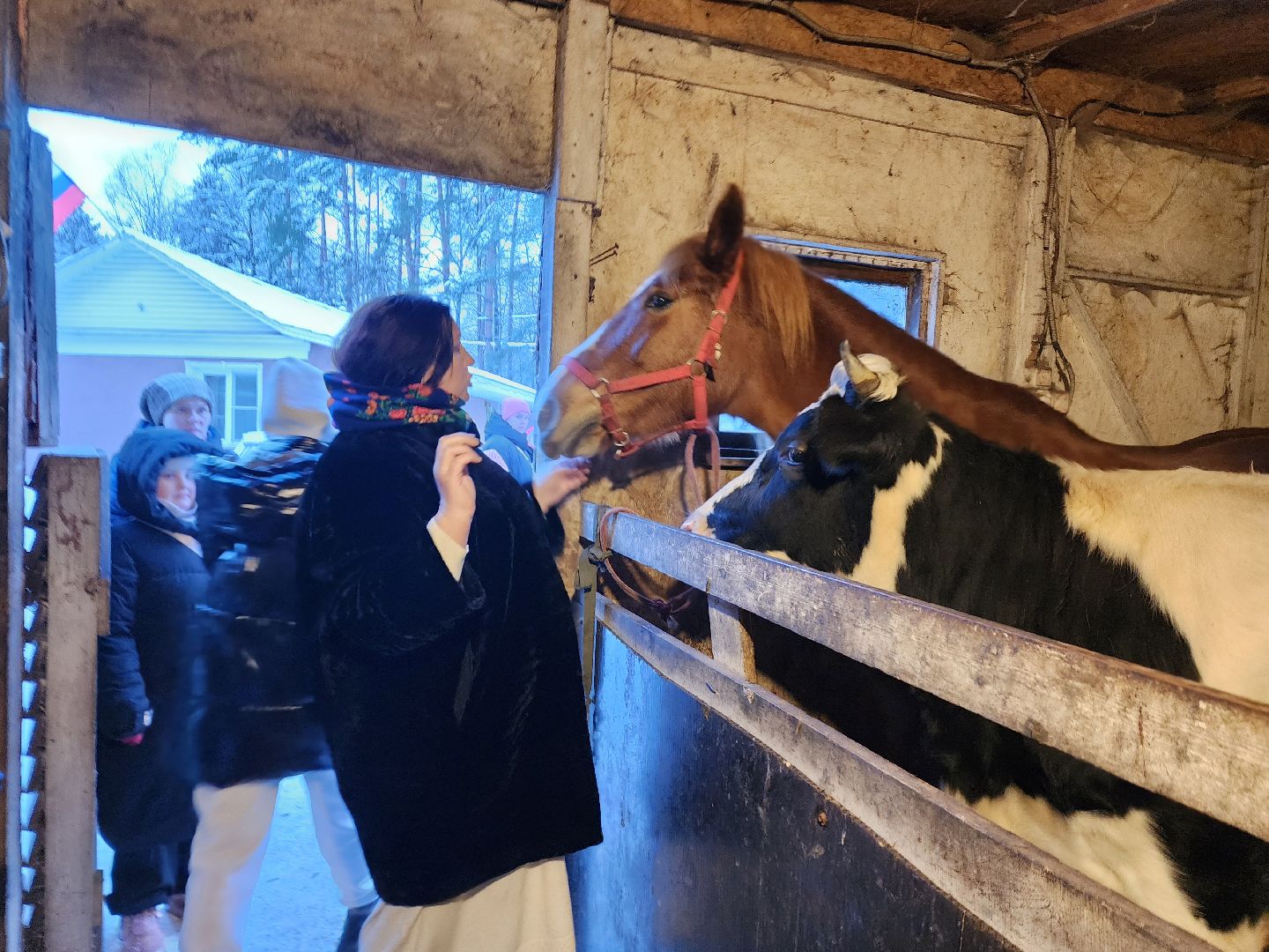 пушкино, рождество, дети, программа, веселые старты, спектакль,