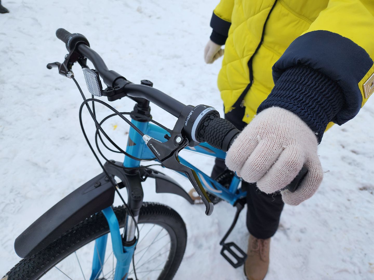 Серебряные Пруды, Елка желаний, Новый год, дети, особенные дети, губернатор Московской области, Андрей Воробьев, велосипед, мечта,