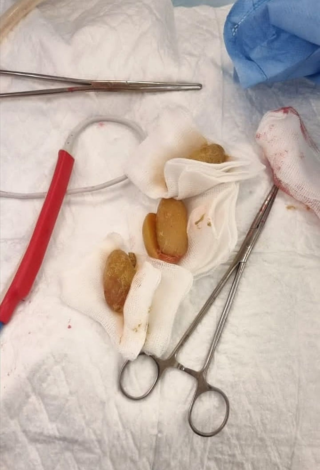 Долгопрудный, медицина