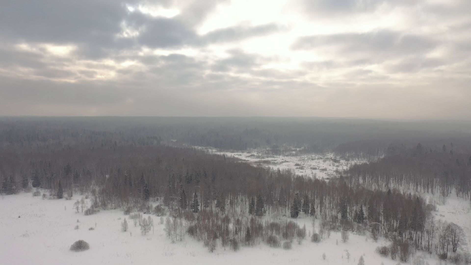 видео с коптера, истра, дети, развлечения,