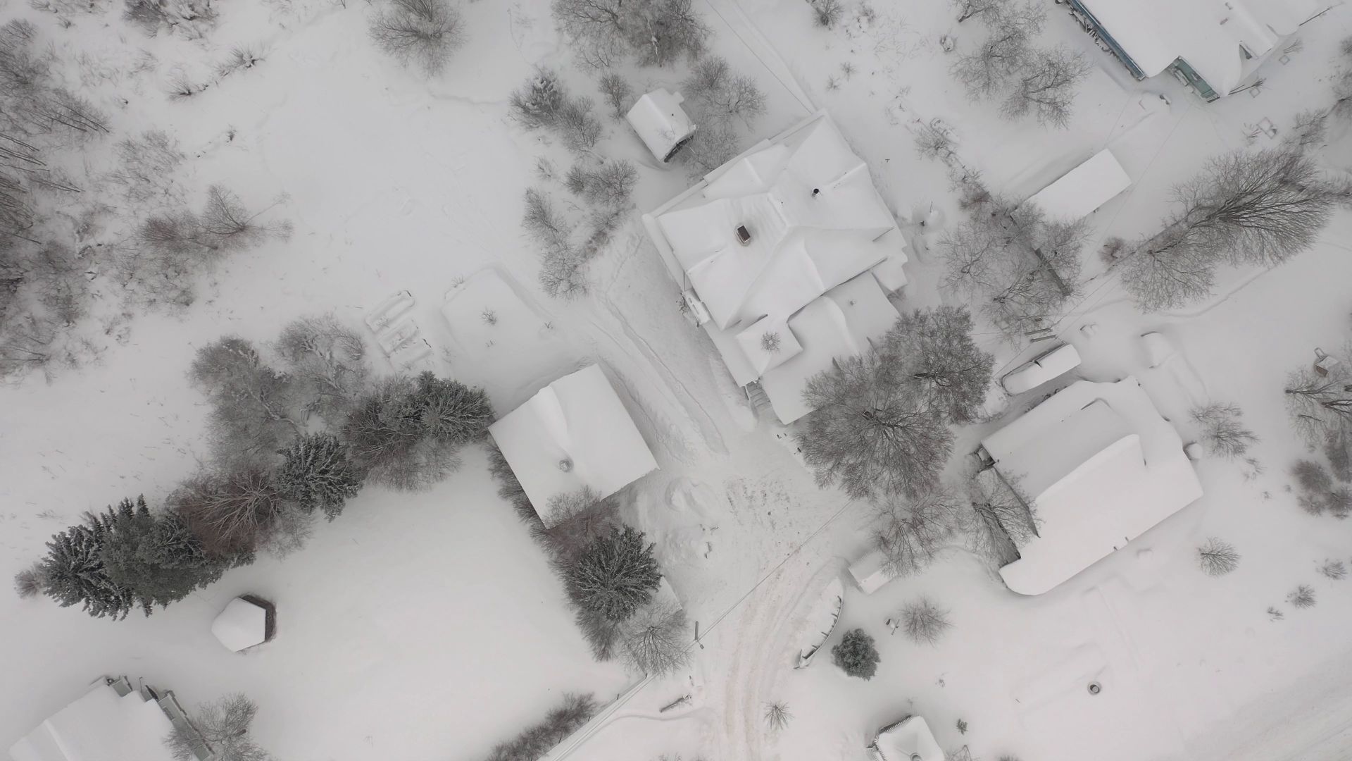 видео с коптера, истра, дети, развлечения,