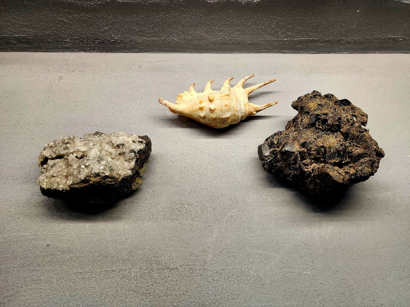 шатура, психолог, городской округ люди, новый год, 2024,предсказание,