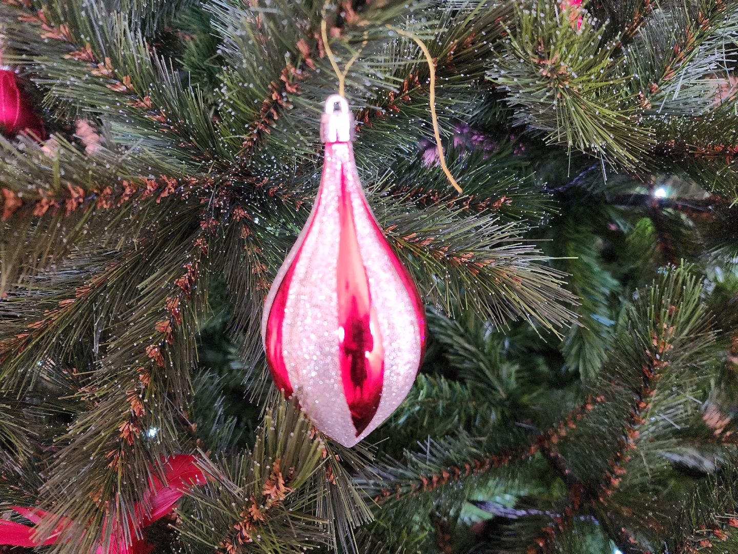 шатура, психолог, городской округ люди, новый год, 2024,предсказание,