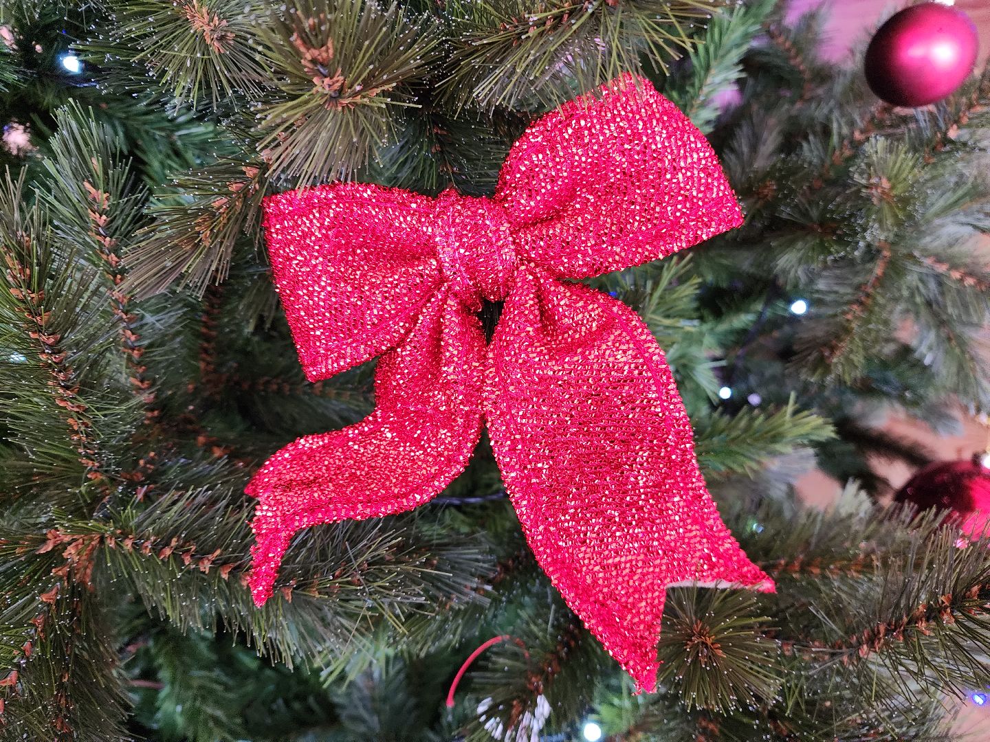 шатура, психолог, городской округ люди, новый год, 2024,предсказание,