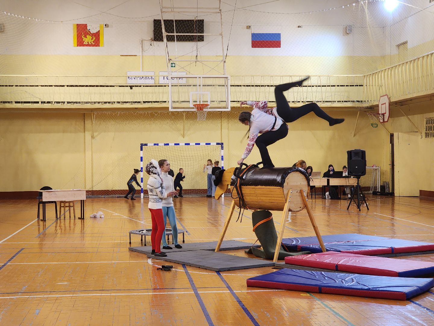 Егорьевск, конный спорт, вольтижировка, зимние узоры