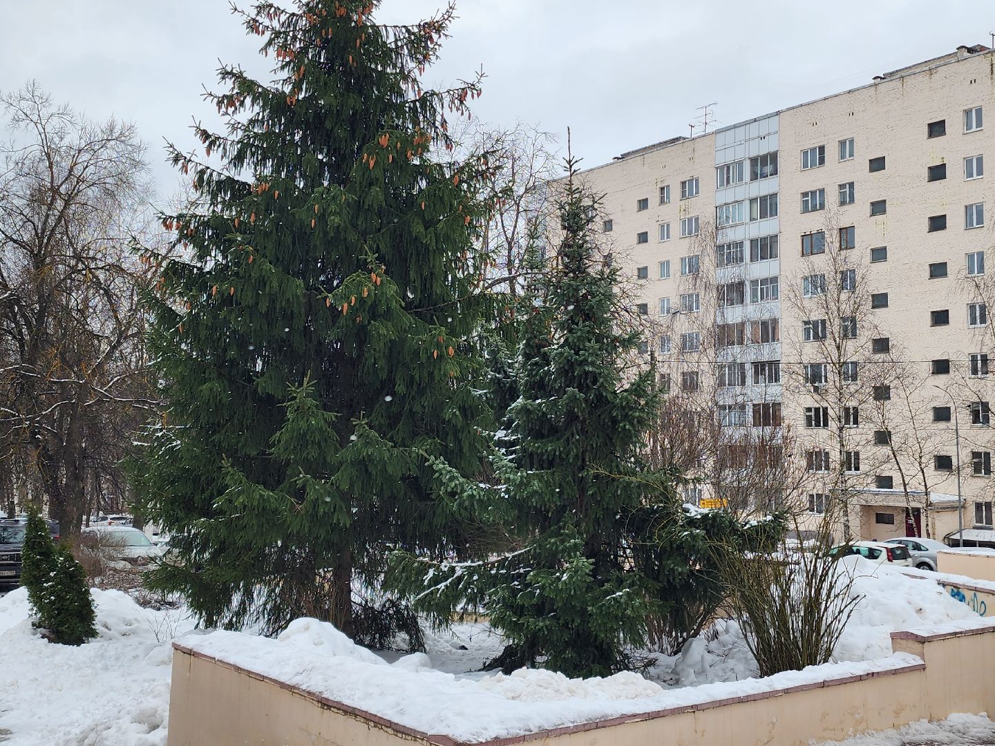 погода, каникулы, мороз,