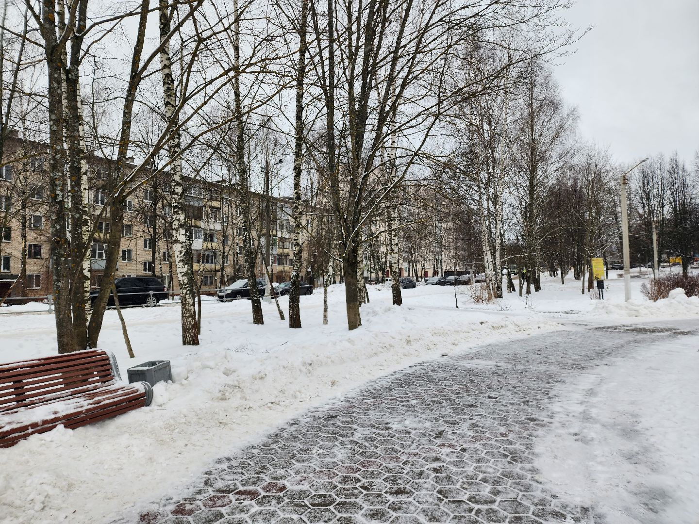 погода, каникулы, мороз,