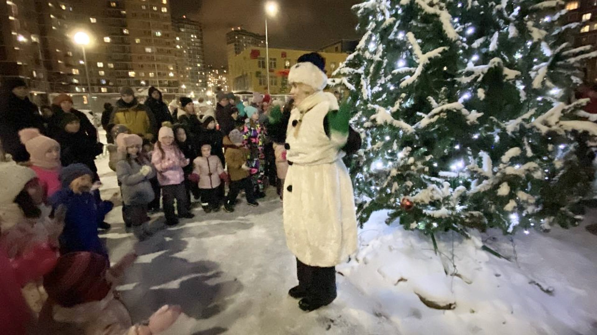 Балашиха, Подмосковье, Новый год, Елки, Микрорайон Павлино,