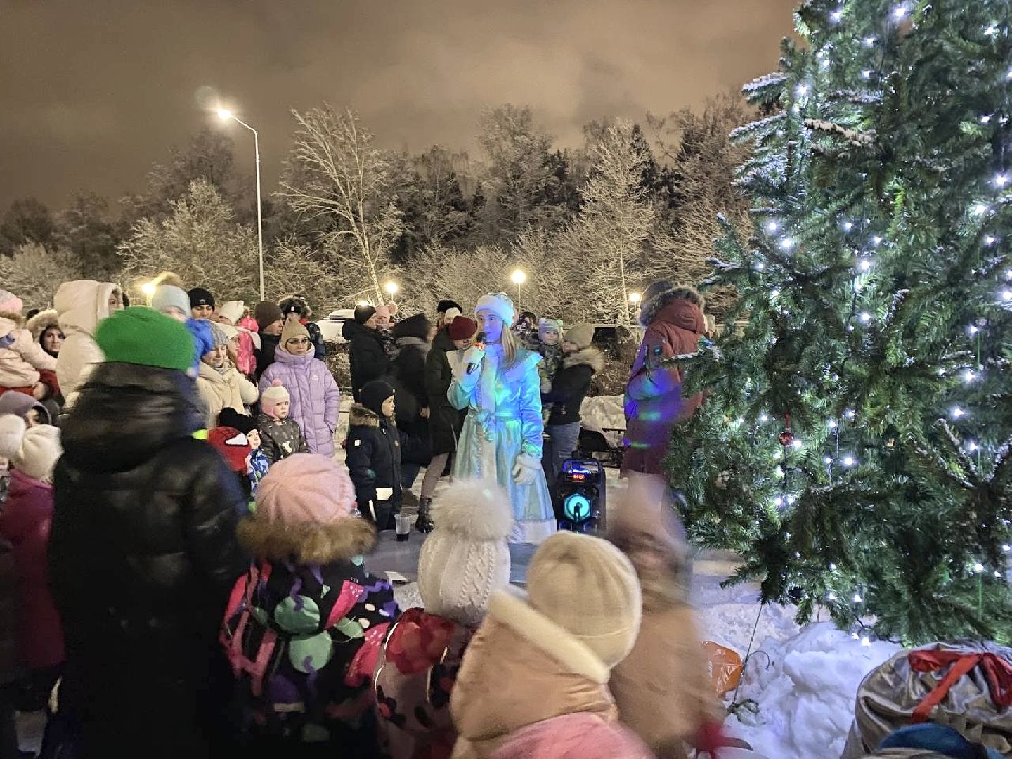 Балашиха, Подмосковье, Новый год, Елки, Микрорайон Павлино,