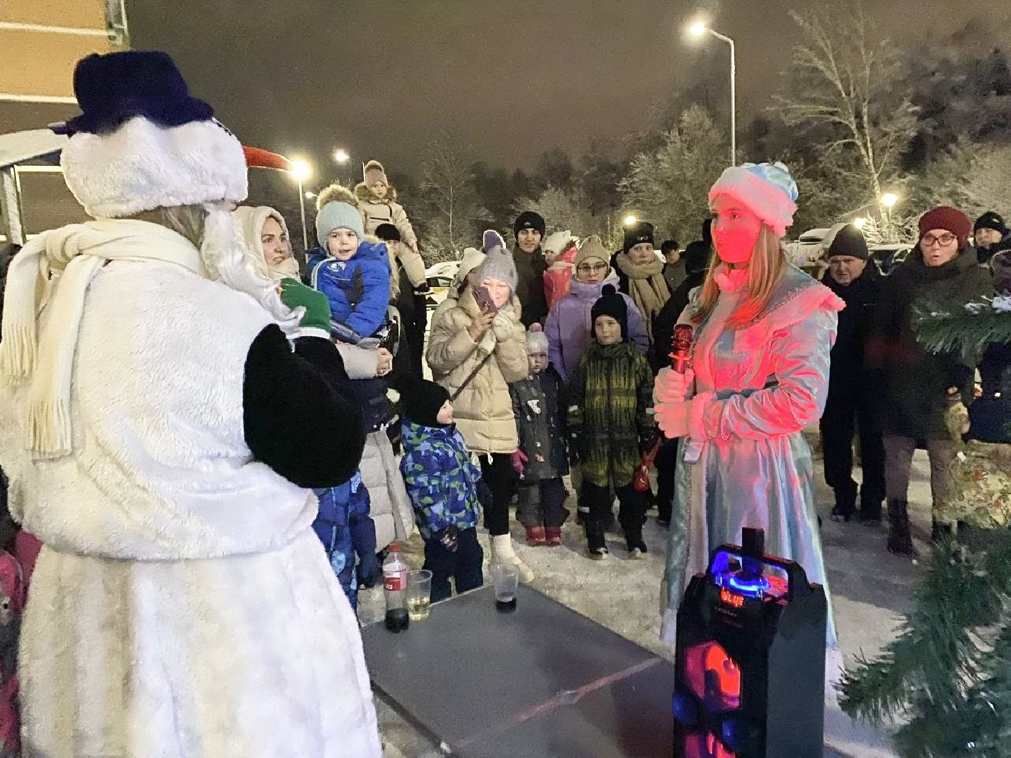 Балашиха, Подмосковье, Новый год, Елки, Микрорайон Павлино,